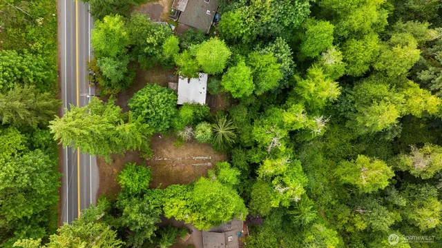 an view of a garden with plants
