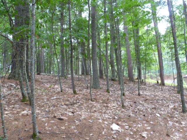 1555 Silver Lake Road, Unit ADJ TO Eagle River, WI 54521 - Photo 12 of 19 Gallery Image 12