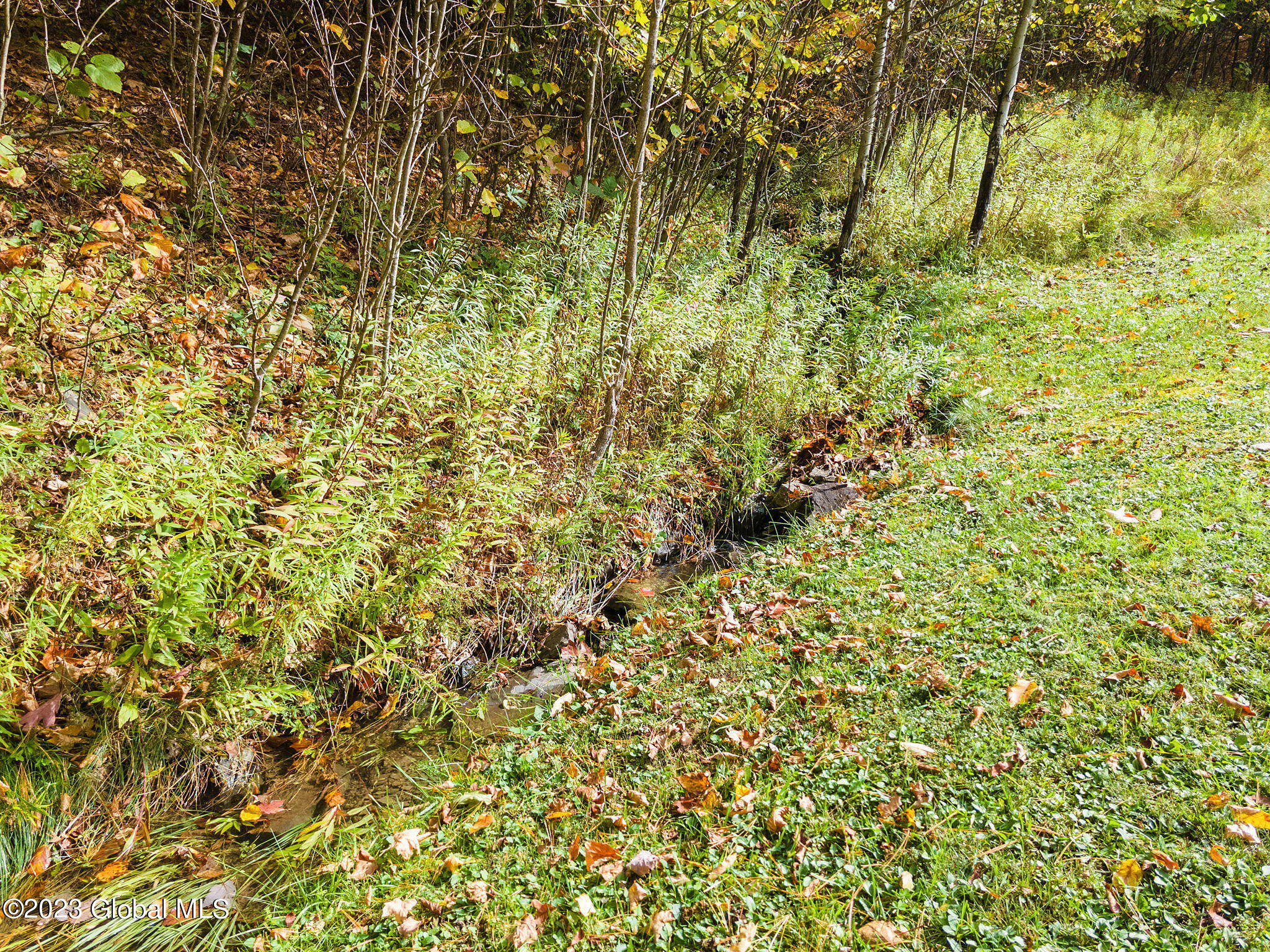 116 Mountain View Road Middleburgh, NY 12122 - Photo 36 of 36 36-web-or-mls-116MountainViewRd_36