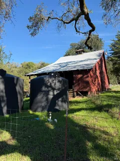 a view of a backyard with plants and a patio
