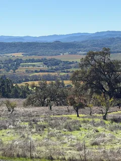 a view of a yard with an outdoor space