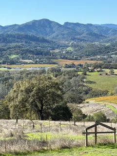 a view of a lake with mountains in the background