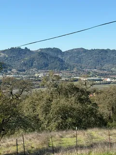 a view of a forest with a mountain