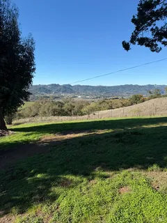 a view of a field with an ocean