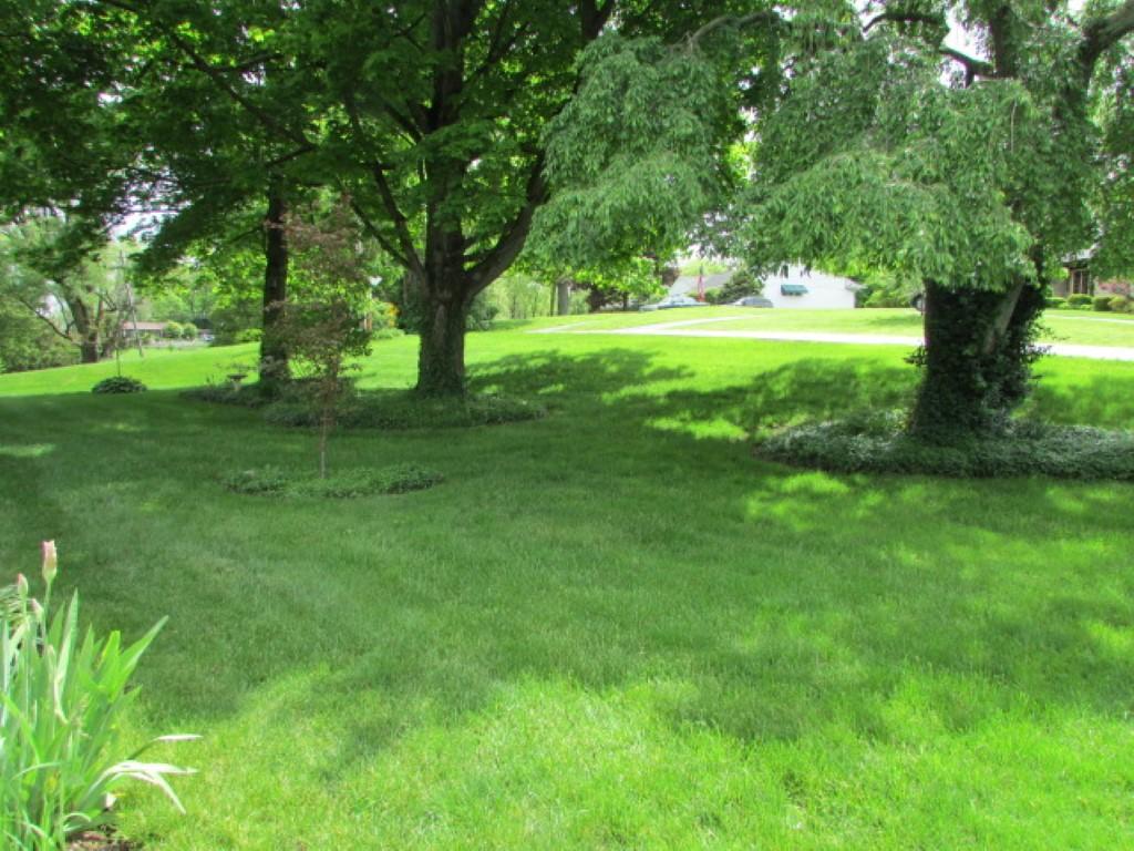710 West Home Road Springfield, OH 45504 - Photo 68 of 74 Gallery Image 68