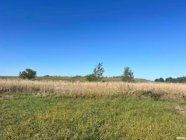 $74,990 | Lot 99 Brittany Court, Metamora, IL 61548
