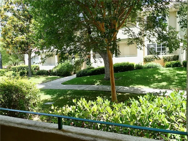 a view of a garden with a tree