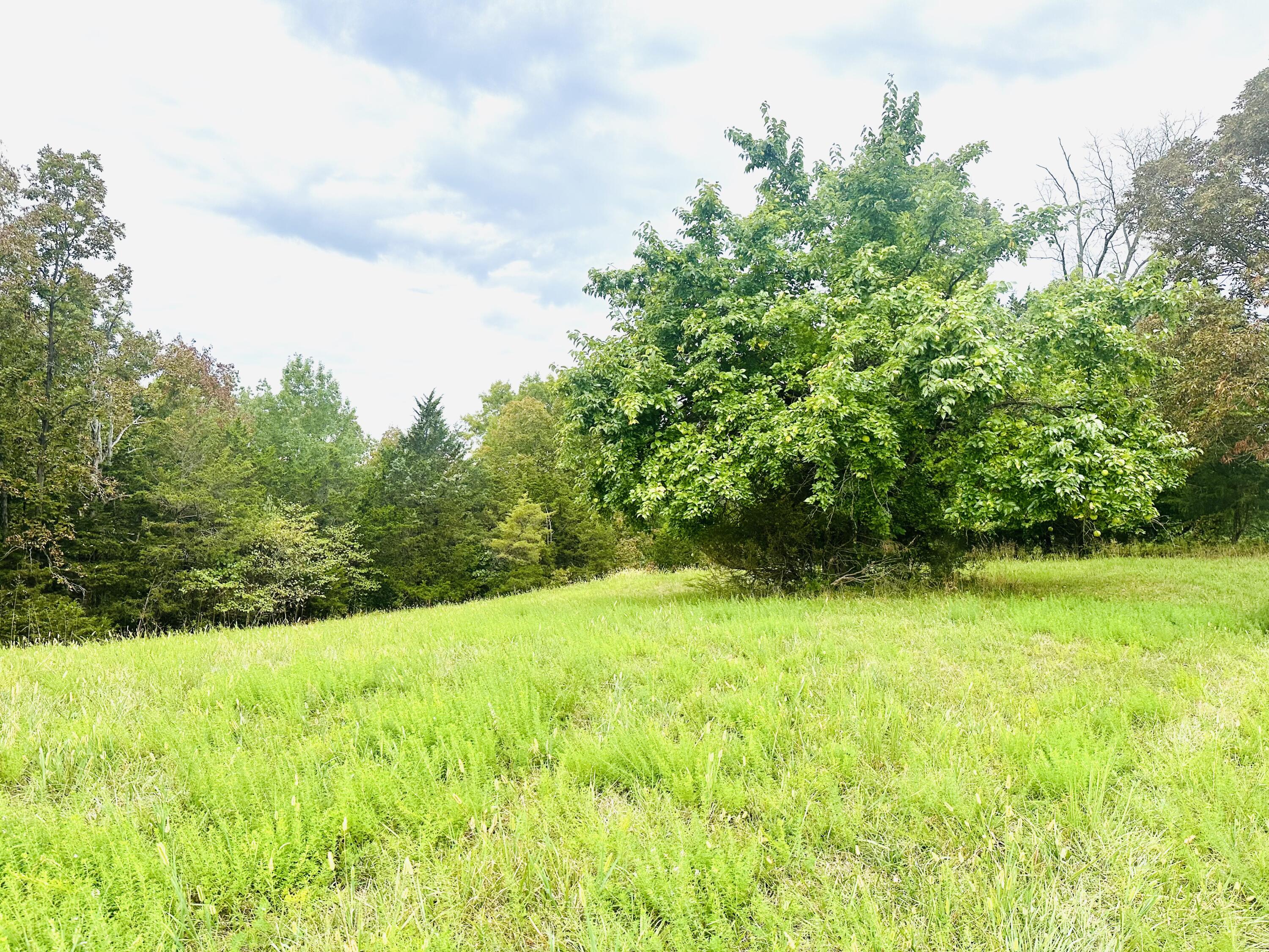 203 Chaplin Road Willisburg, KY 40078 - Photo 63 of 77 IMG_8311