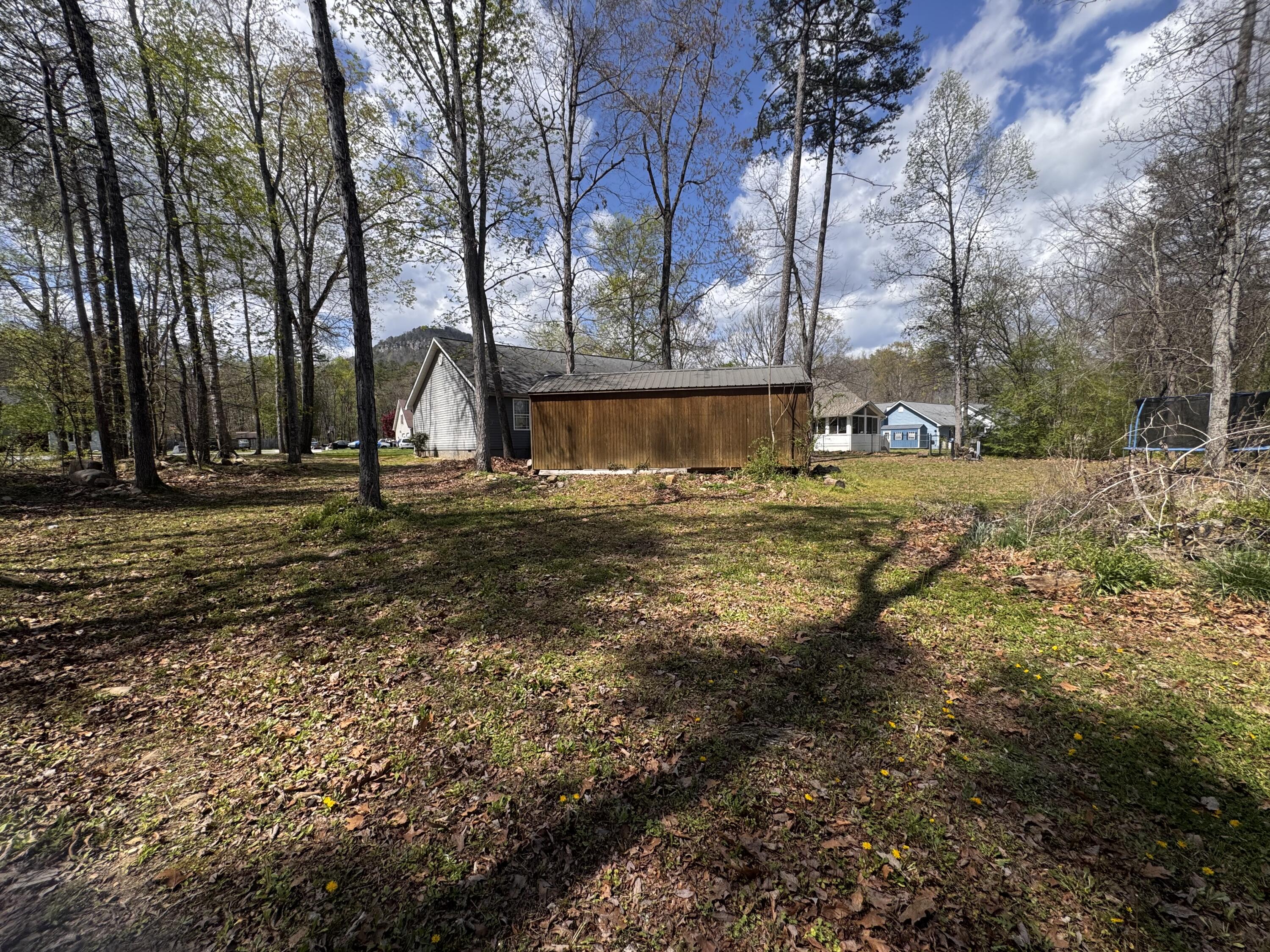 116 Maple Street Dunlap, TN 37327 - Photo 6 of 22 IMG_0353