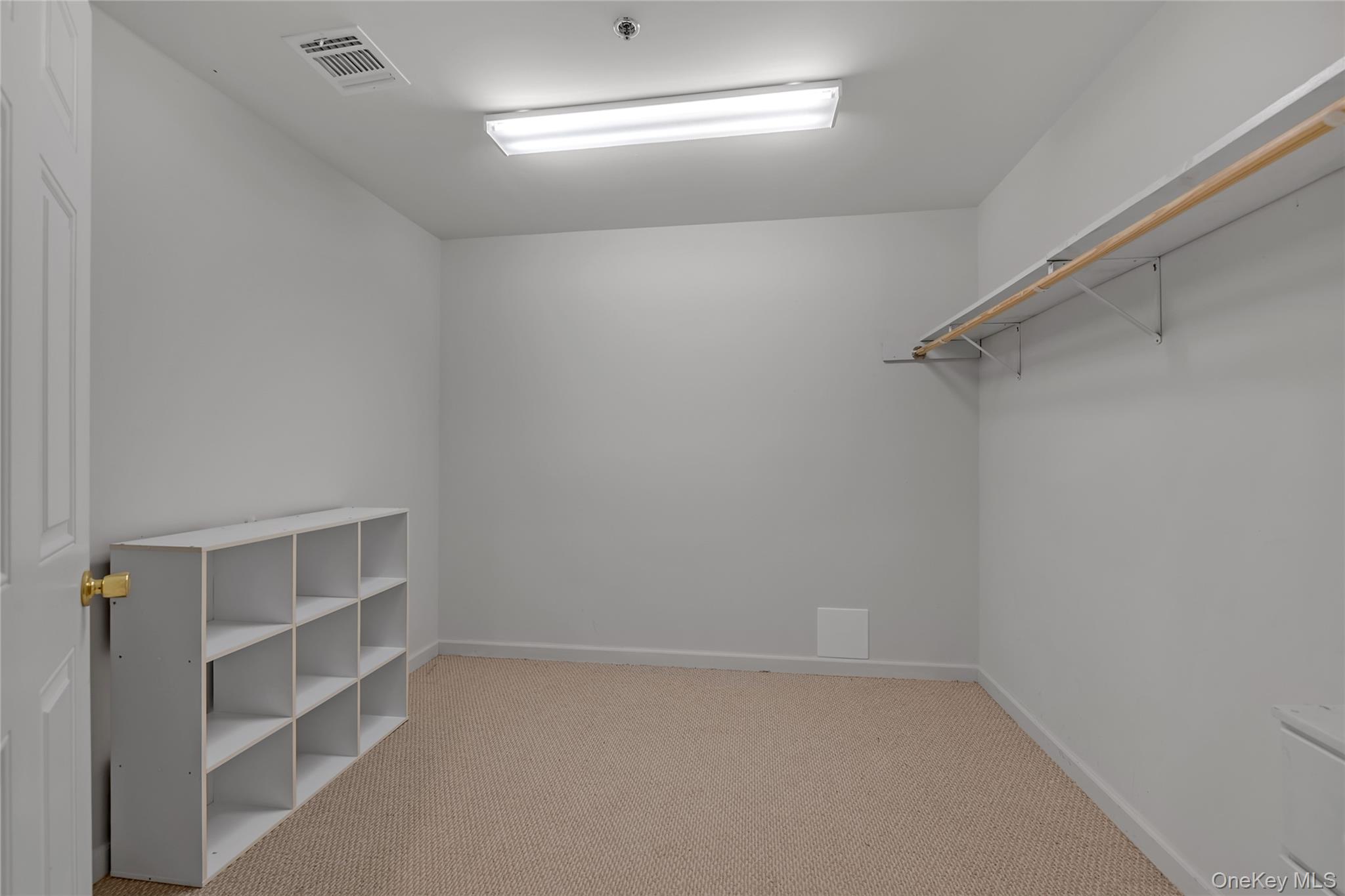 286 Spring Drive, Unit 286 East Meadow, NY 11554 - Photo 17 of 27 a view of an empty walk in closet