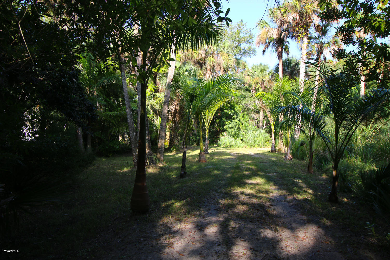 920 East Crisafulli Road Merritt Island, FL 32953 - Photo 23 of 29 IMG_8644-1