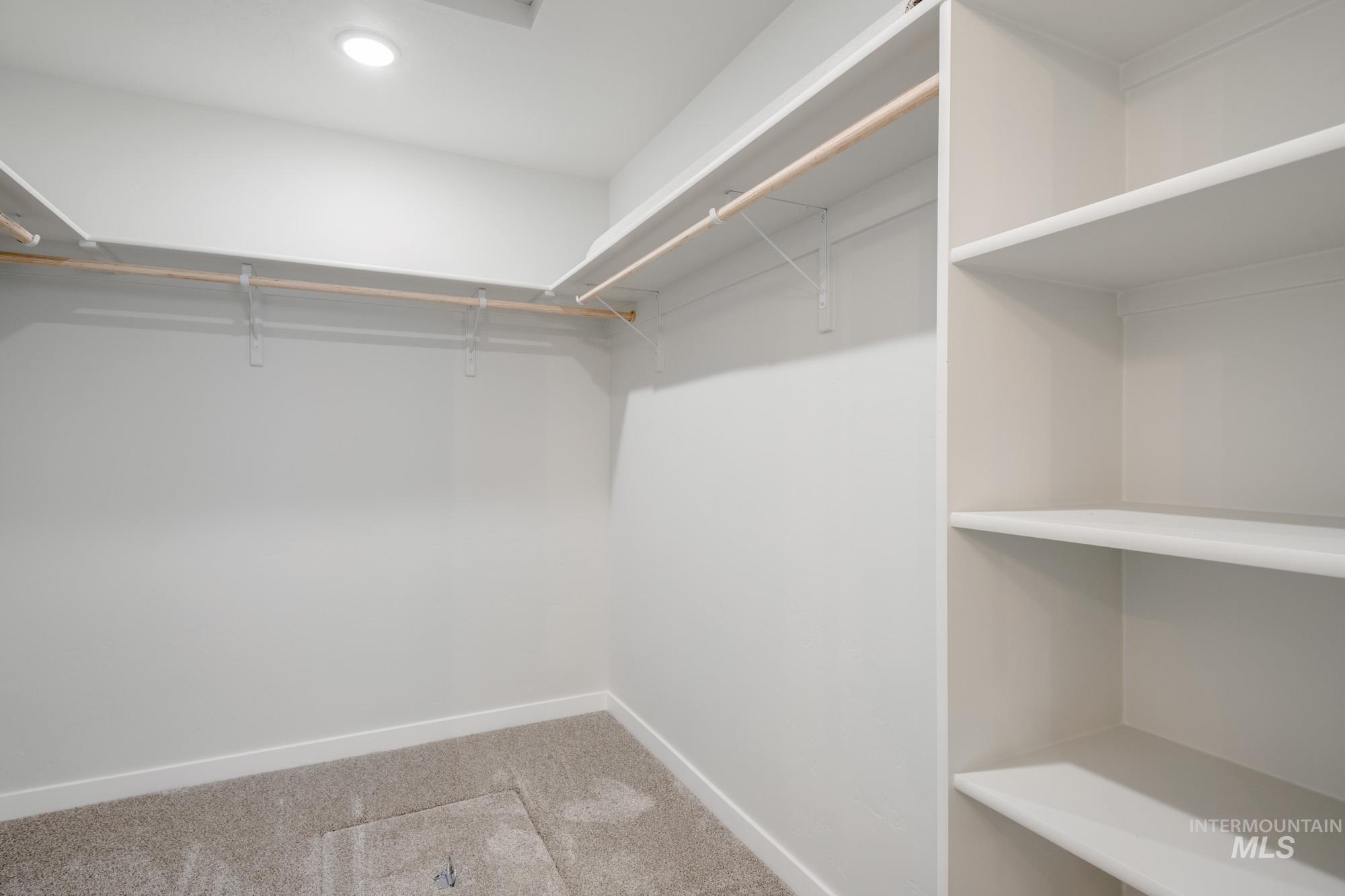 3281 North Waterbrook Way Star, ID 83669 - Photo 19 of 21 Spacious closet with light colored carpet
