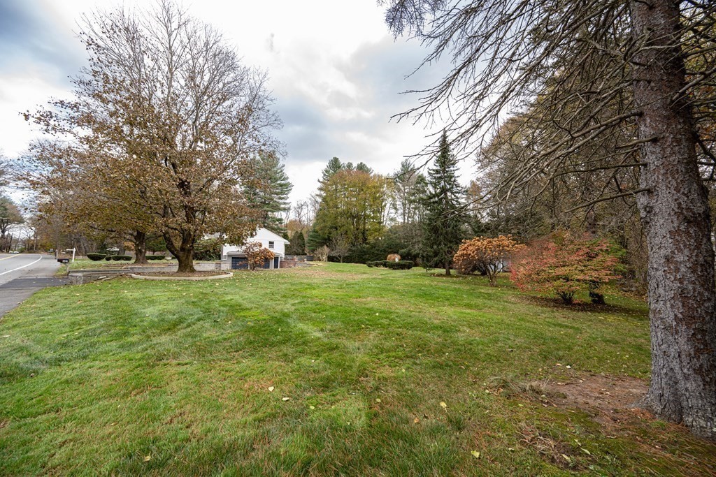 107 Boston Post Road Wayland, MA 01778 - Photo 11 of 42 a green field with lots of trees