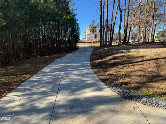 a view of a backyard with large trees