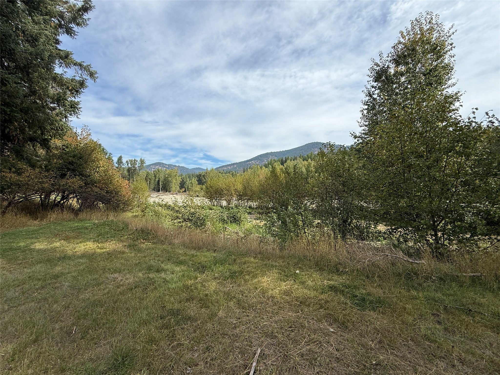 276 Dolphin Way Libby, MT 59923 - Photo 10 of 46 Gallery Image 10
