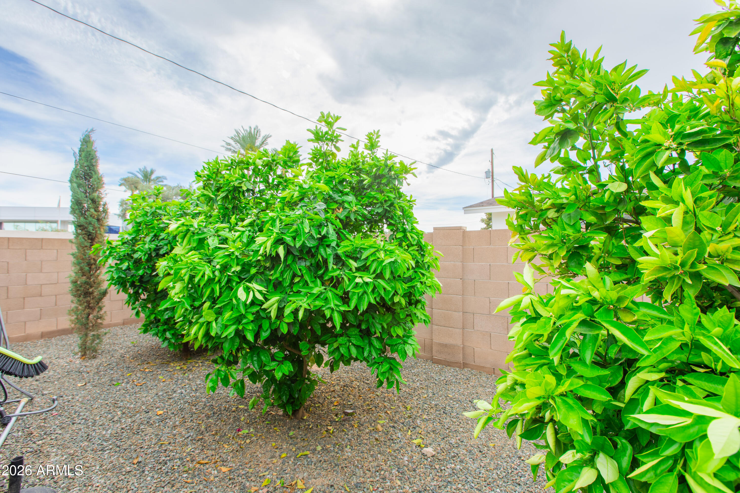5541 East Cheery Lynn Road Phoenix, AZ 85018 - Photo 69 of 69 SideYard-2