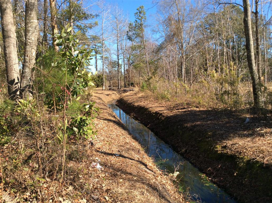 8153 Clyburn Road Hollywood, SC 29449 - Photo 14 of 15 014 (Medium)