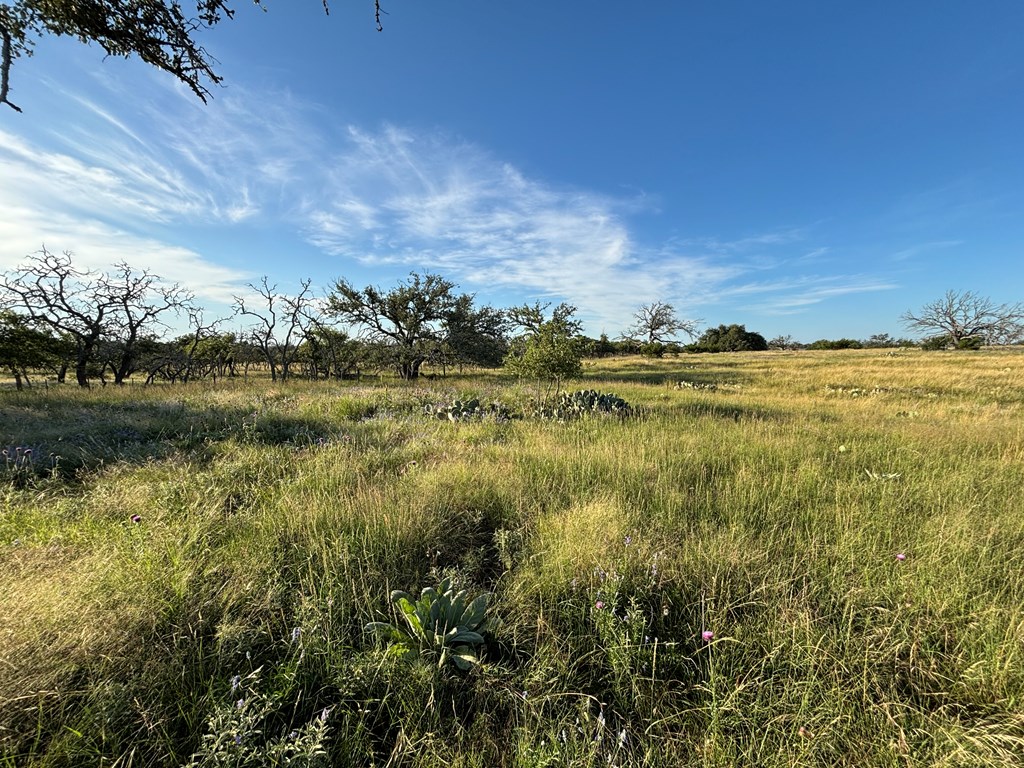 183 Lipan Loop, Unit 20 Harper, TX 78631 - Photo 3 of 14 a view of a lake with houses in the back