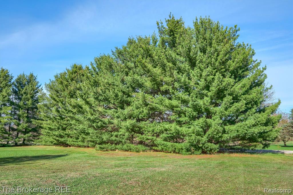 14445 Harris Road Millington, MI 48746 - Photo 47 of 57 Gallery Image 47