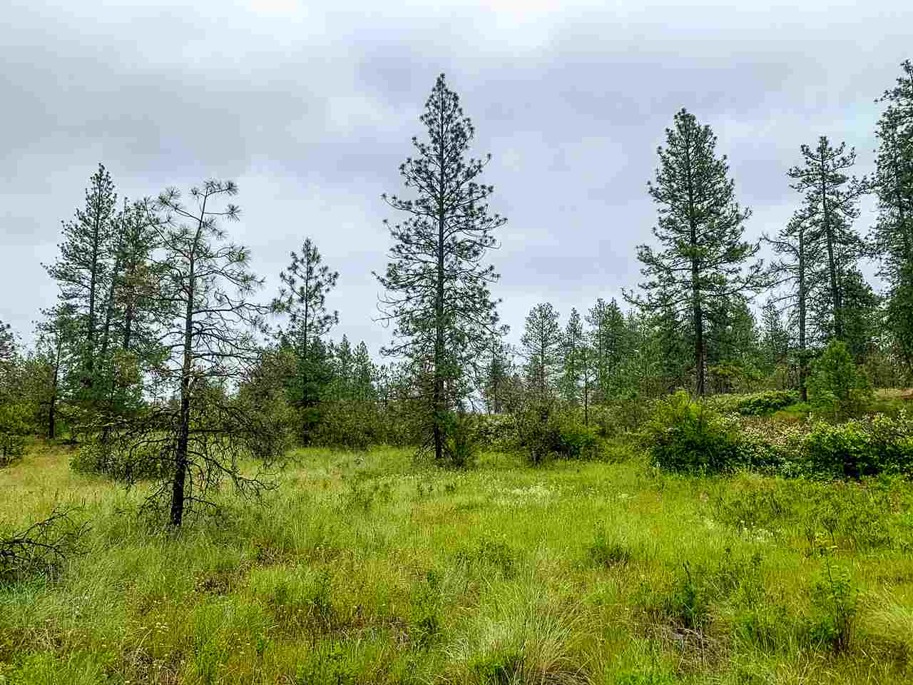 0 West Anderson Road Cheney, WA 99004 - Photo 3 of 16