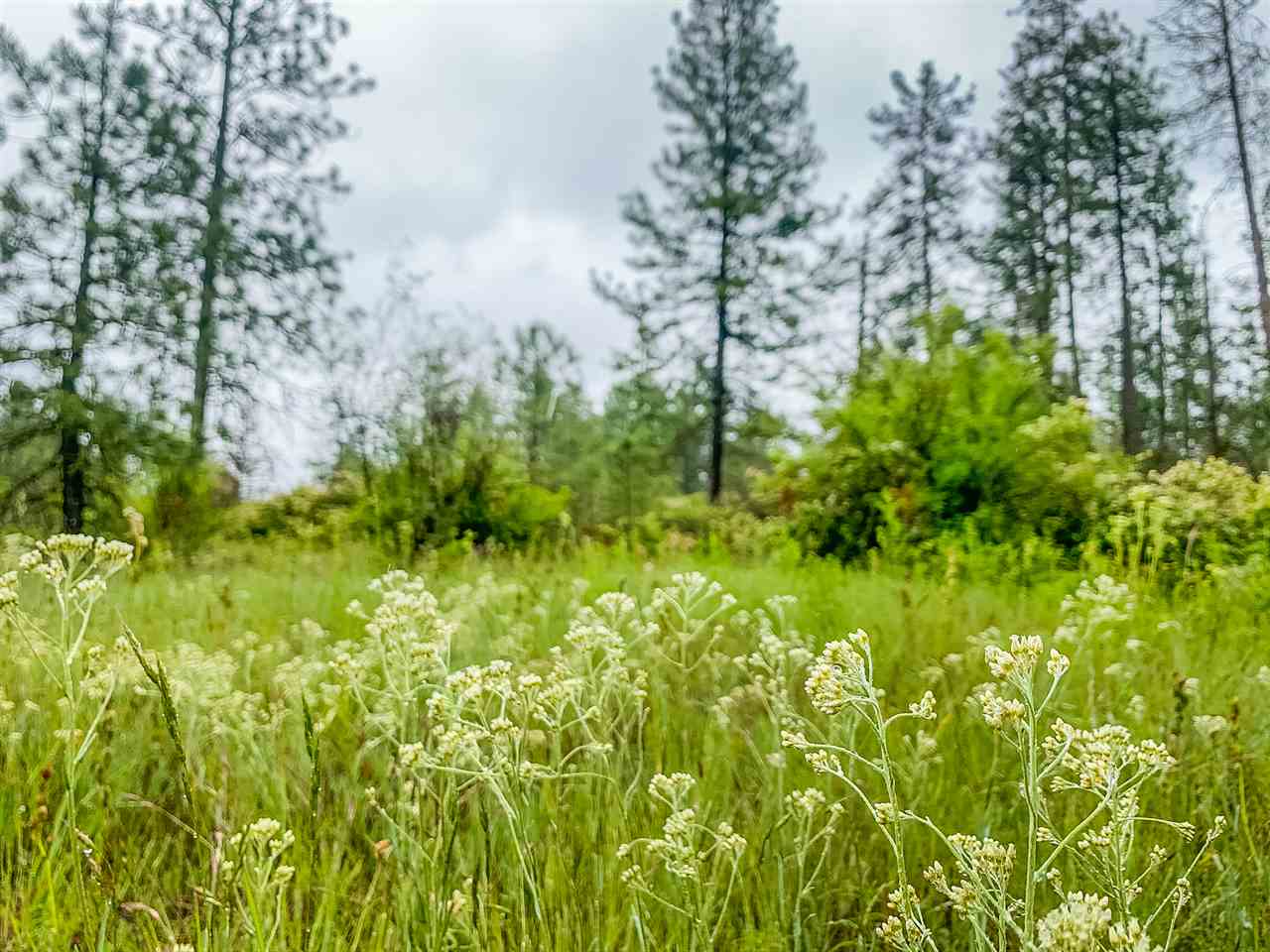 0 West Anderson Road Cheney, WA 99004 - Photo 4 of 16