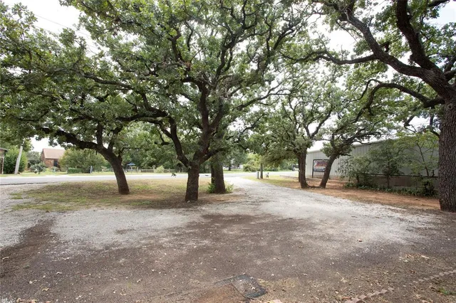a view of a tree in the middle of a yard