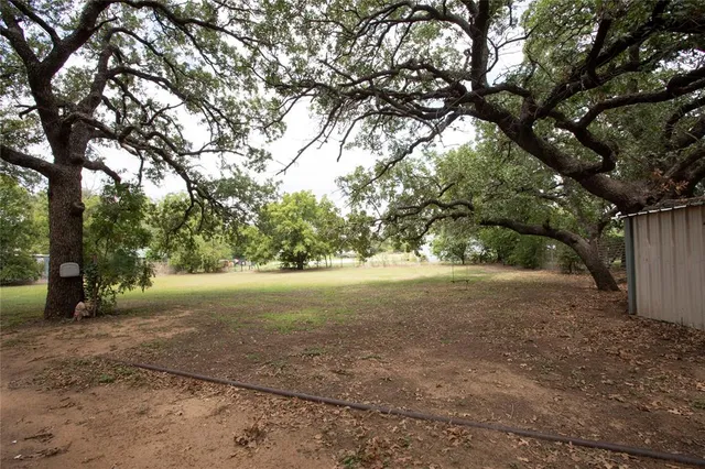 a view of dirt yard with large trees