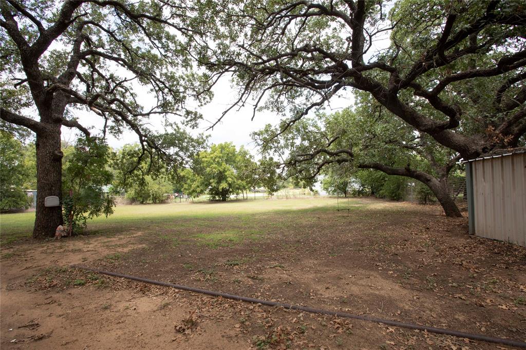 1311 Loving Highway Graham, TX 76450 - Photo 22 of 31 a view of dirt yard with large trees