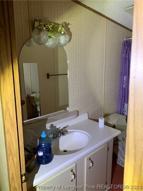 6400 Waldos Beach Road Fayetteville, NC 28306 - Photo 12 of 29 a bathroom with a sink and a mirror