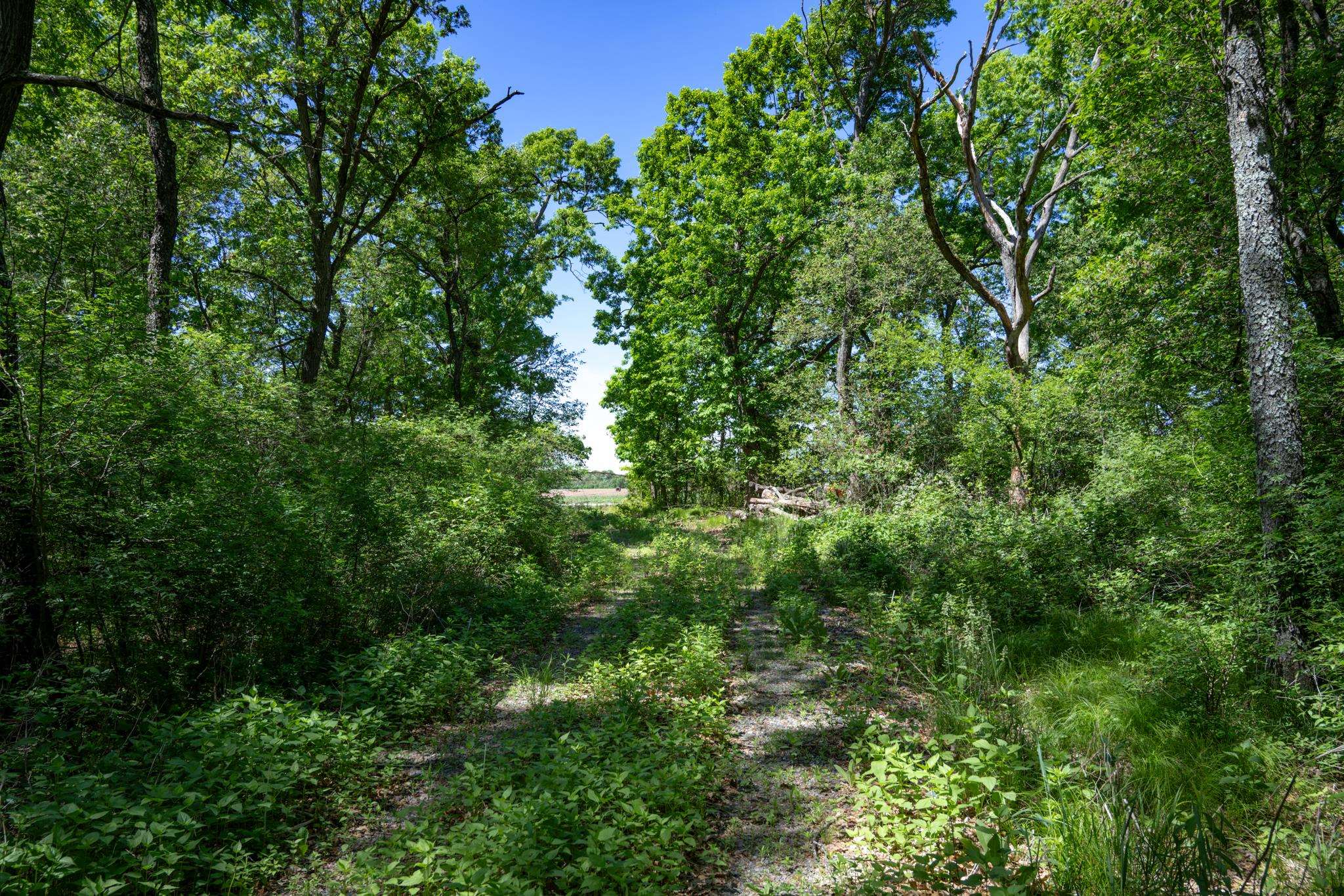 N14672 Porter Road Nekoosa, WI 54457 - Photo 23 of 51