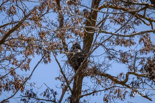 $1,700,000 | 277-acres 277-acres Timber Butte Road, Sweet, ID 83670