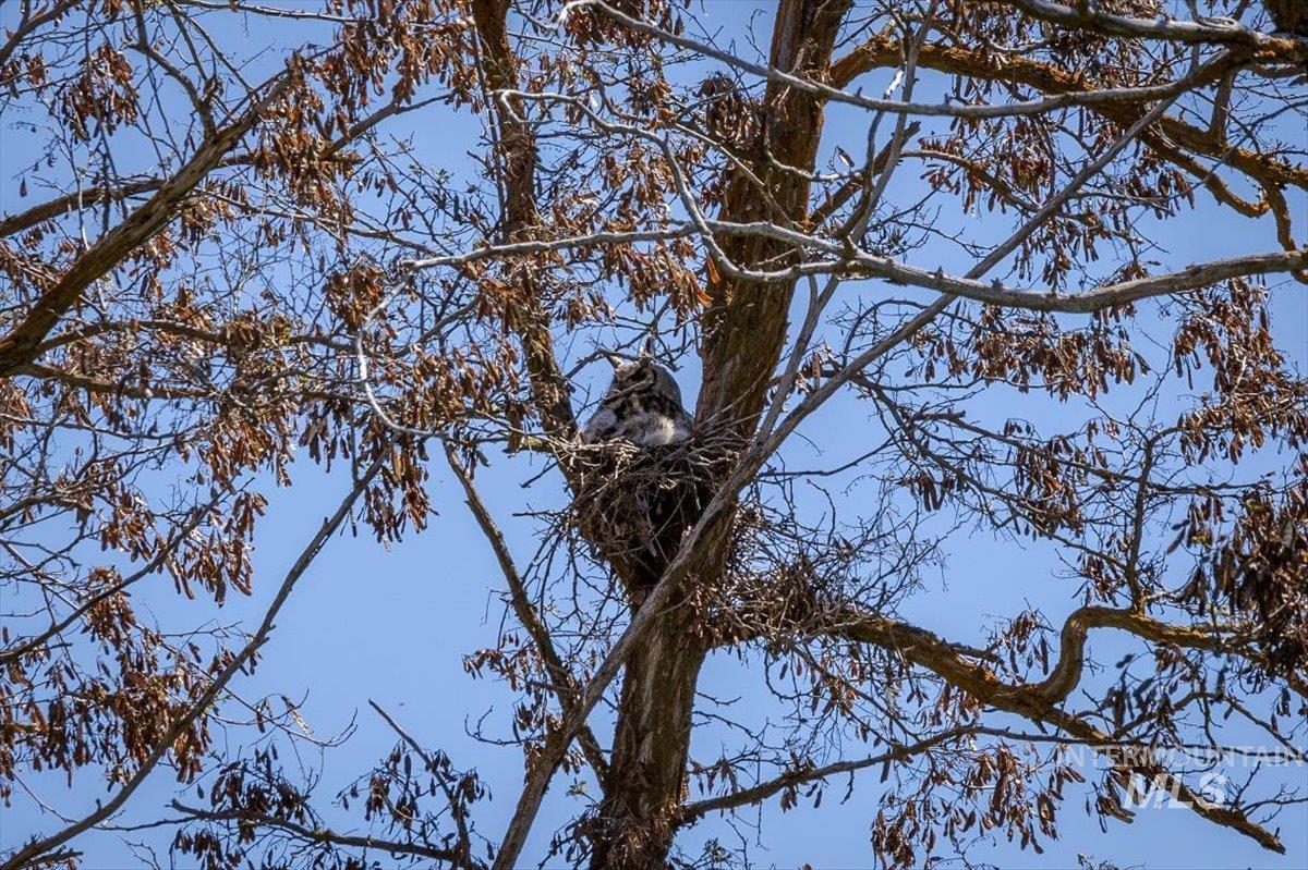 277-acres 277-acres Timber Butte Road Sweet, ID 83670 - Photo 13 of 50