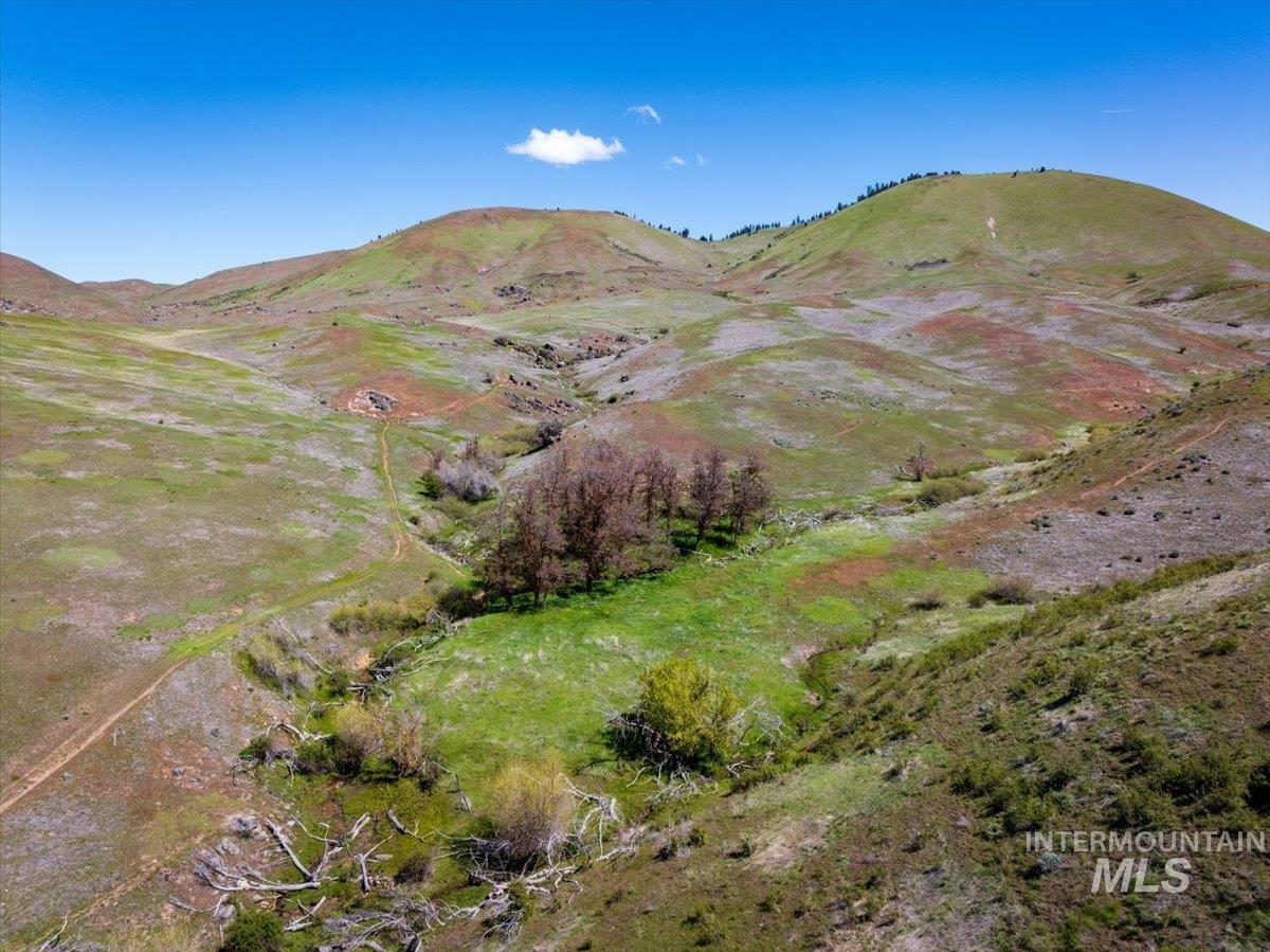 277-acres 277-acres Timber Butte Road Sweet, ID 83670 - Photo 2 of 50