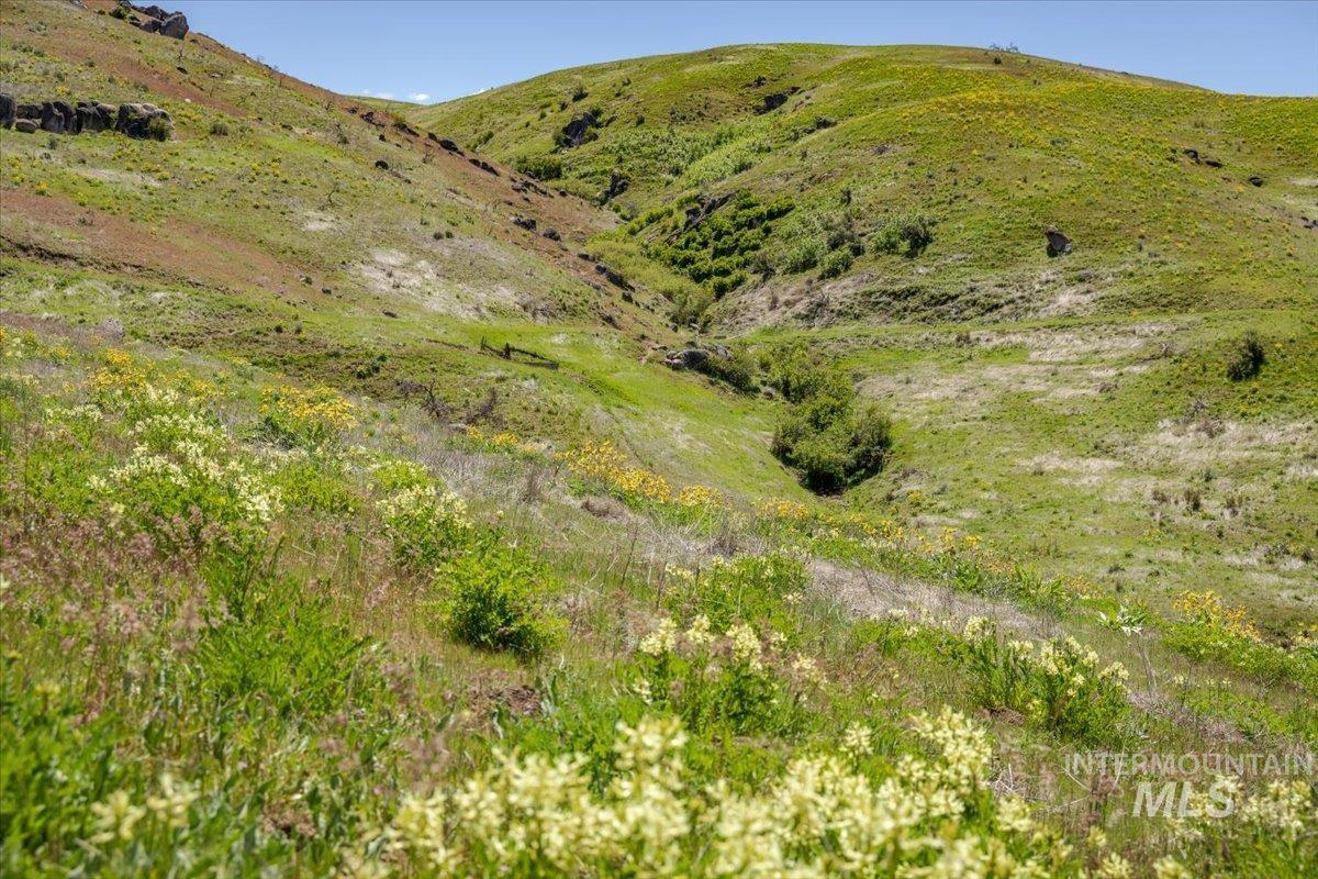 277-acres 277-acres Timber Butte Road Sweet, ID 83670 - Photo 25 of 50