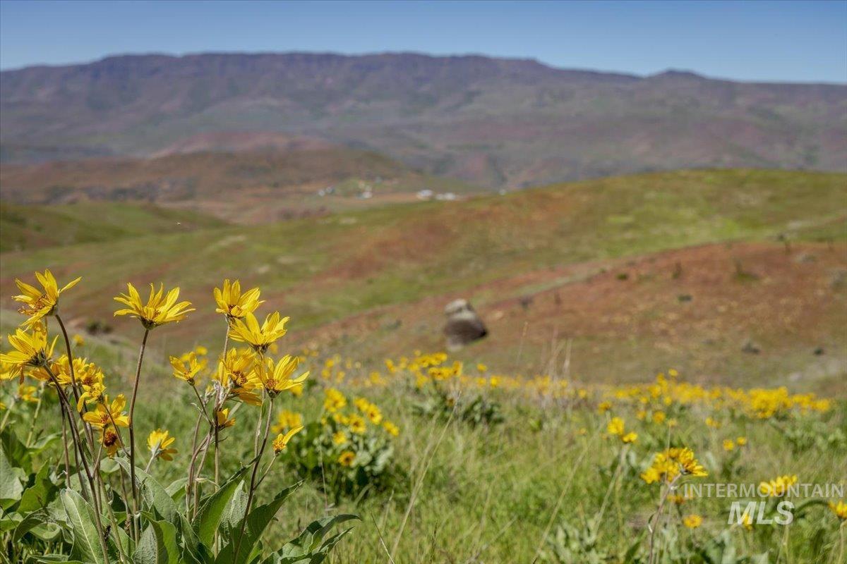 277-acres 277-acres Timber Butte Road Sweet, ID 83670 - Photo 31 of 50