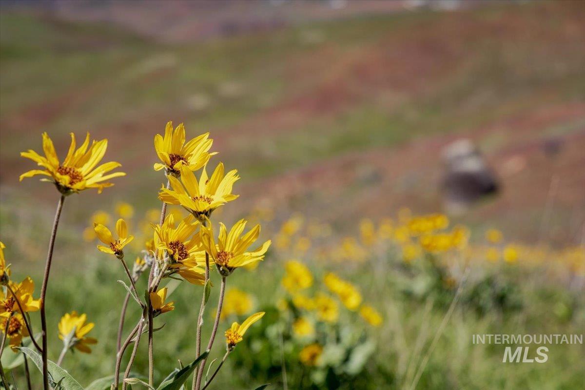 277-acres 277-acres Timber Butte Road Sweet, ID 83670 - Photo 32 of 50