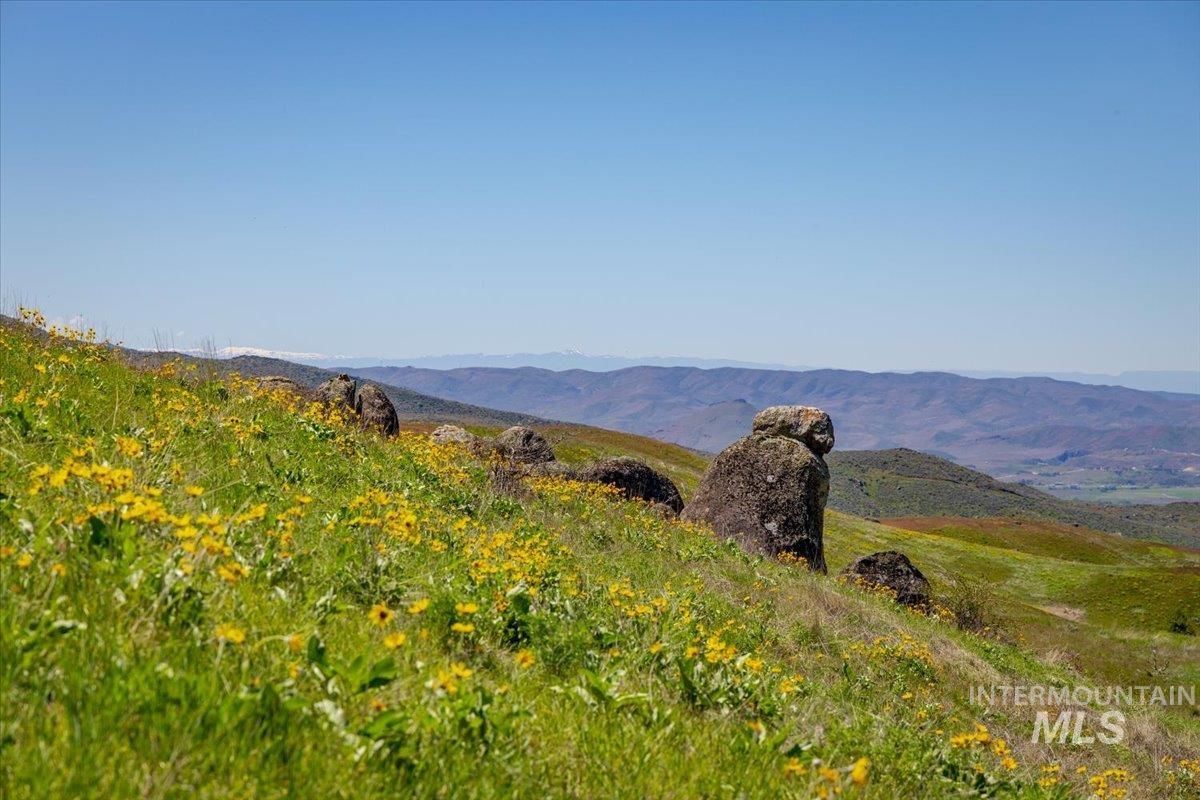 277-acres 277-acres Timber Butte Road Sweet, ID 83670 - Photo 35 of 50
