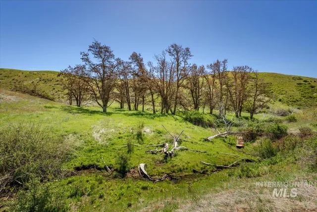 $1,700,000 | 277-acres 277-acres Timber Butte Road, Sweet, ID 83670