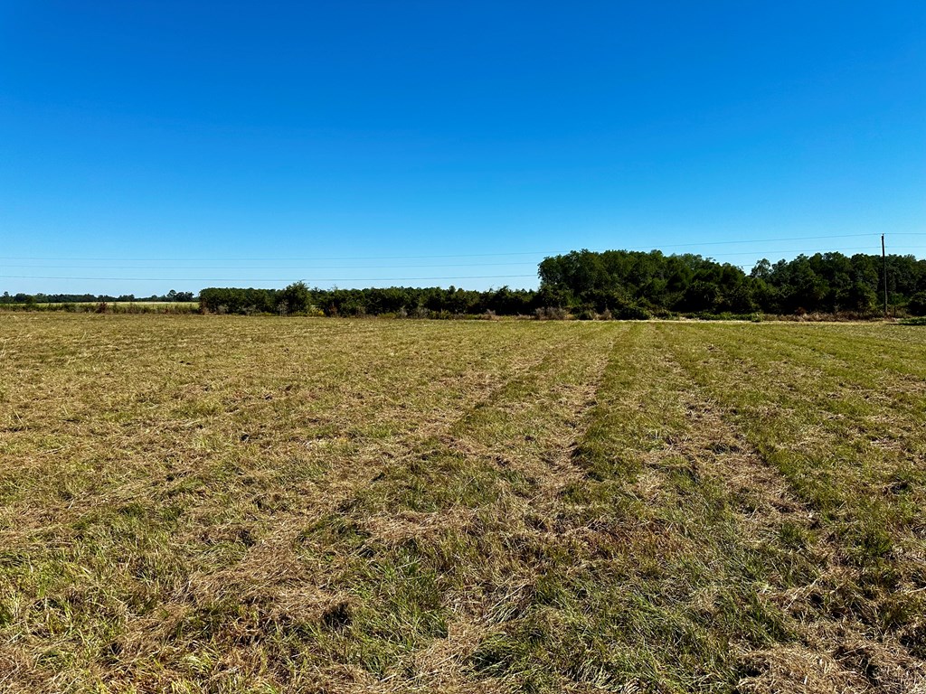 5.78-acres Cora Powell Road Samson, AL 36477 - Photo 6 of 10