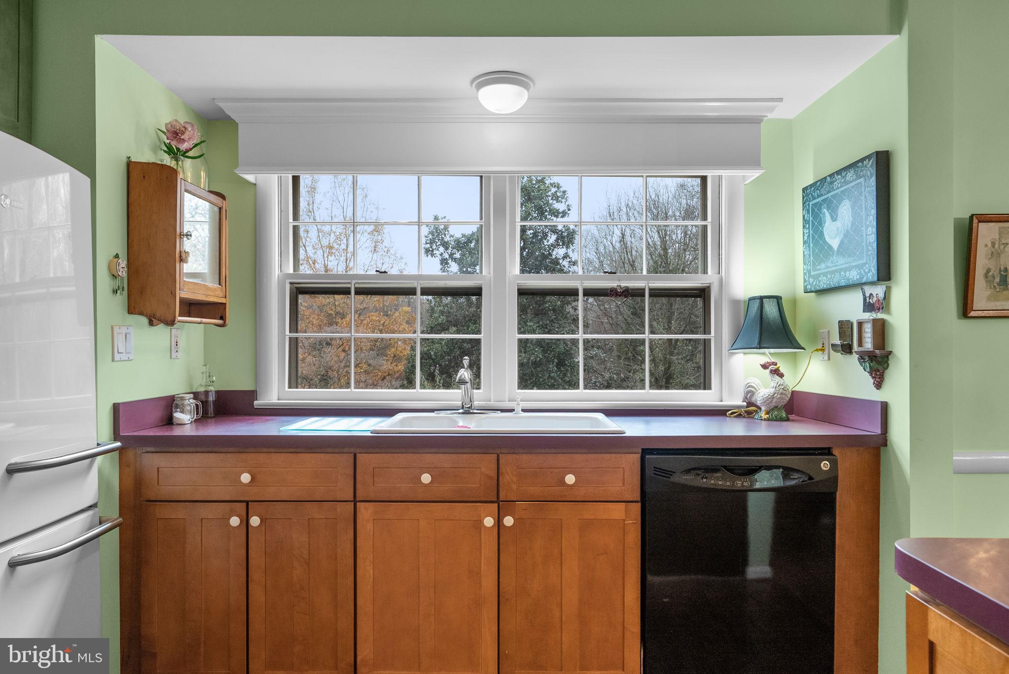 14004 Zeigler Way Silver Spring, MD 20904 - Photo 14 of 57 Kitchen