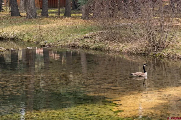 $999,900 | 830 Mushroom Lane, Bayfield, CO 81122