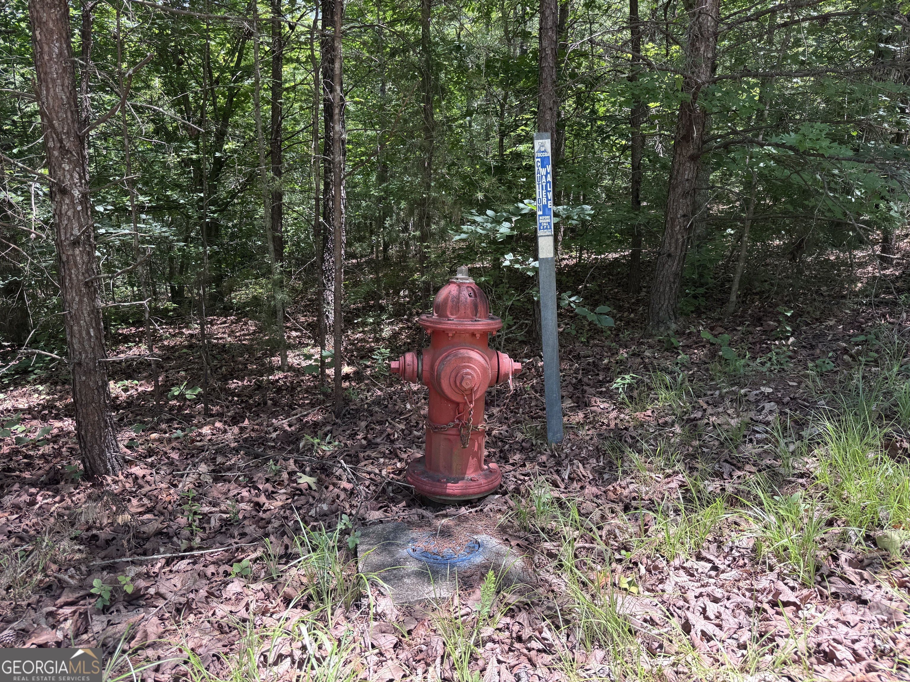 0 Sunshine Road Toccoa, GA 30577 - Photo 6 of 8