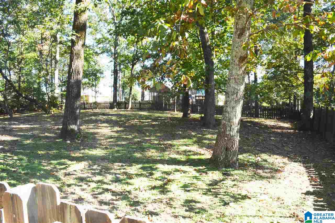 451 Conroy Circle Sterrett, AL 35147 - Photo 26 of 26