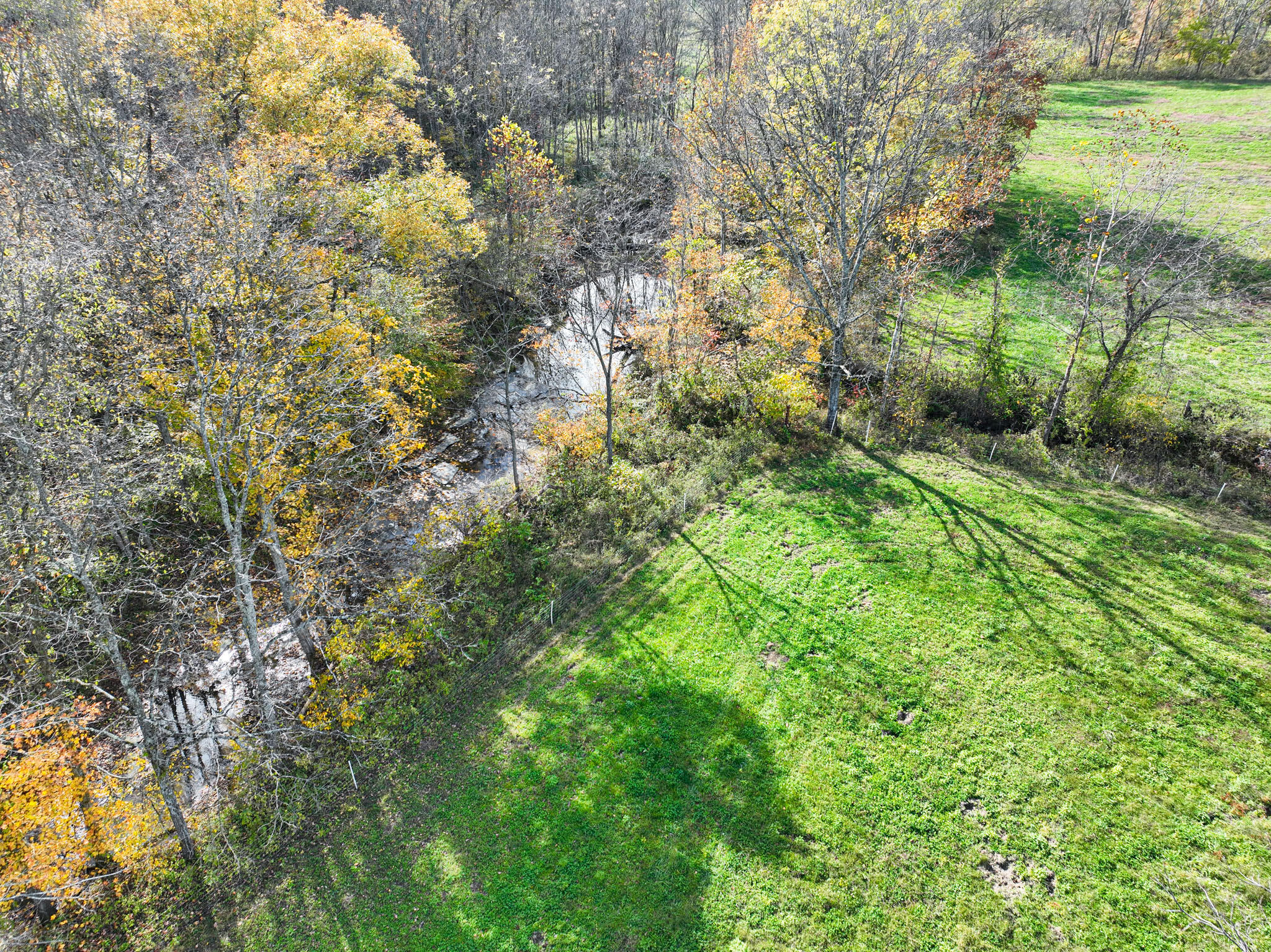 965 Turkey Creek Road Windsor, KY 42565 - Photo 5 of 65 CaseyCounty-009