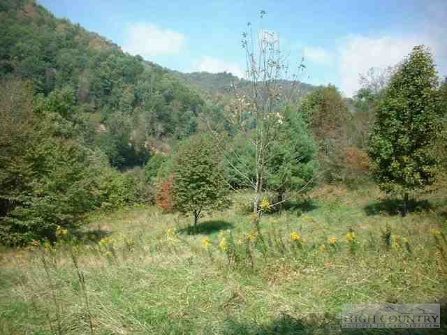 * Wards Branch Road Sugar Grove, NC 28679 - Photo 1 of 1 Gallery Image 1