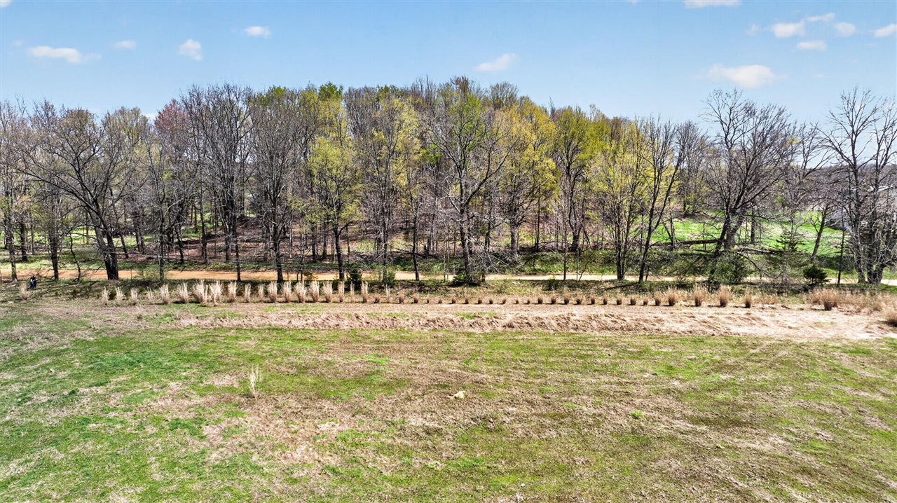 0 Wheeler Road Homer, MI 49245 - Photo 4 of 38 Gallery Image 4