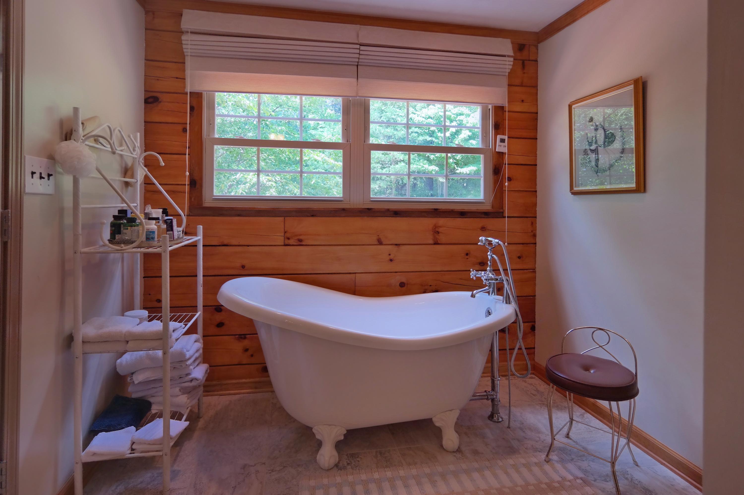 450 Kyles Mill Road Buchanan, VA 24066 - Photo 26 of 49 Master Tub