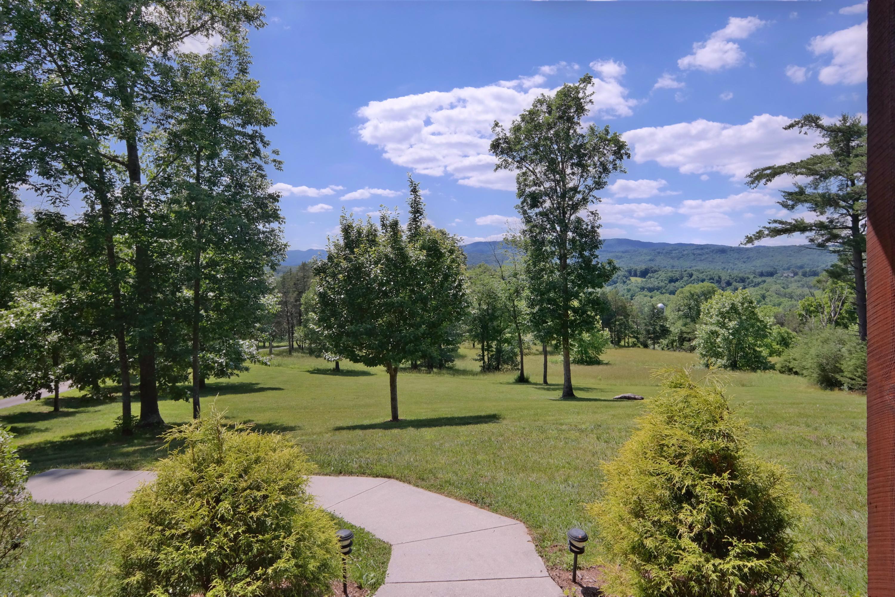 450 Kyles Mill Road Buchanan, VA 24066 - Photo 4 of 49 Views