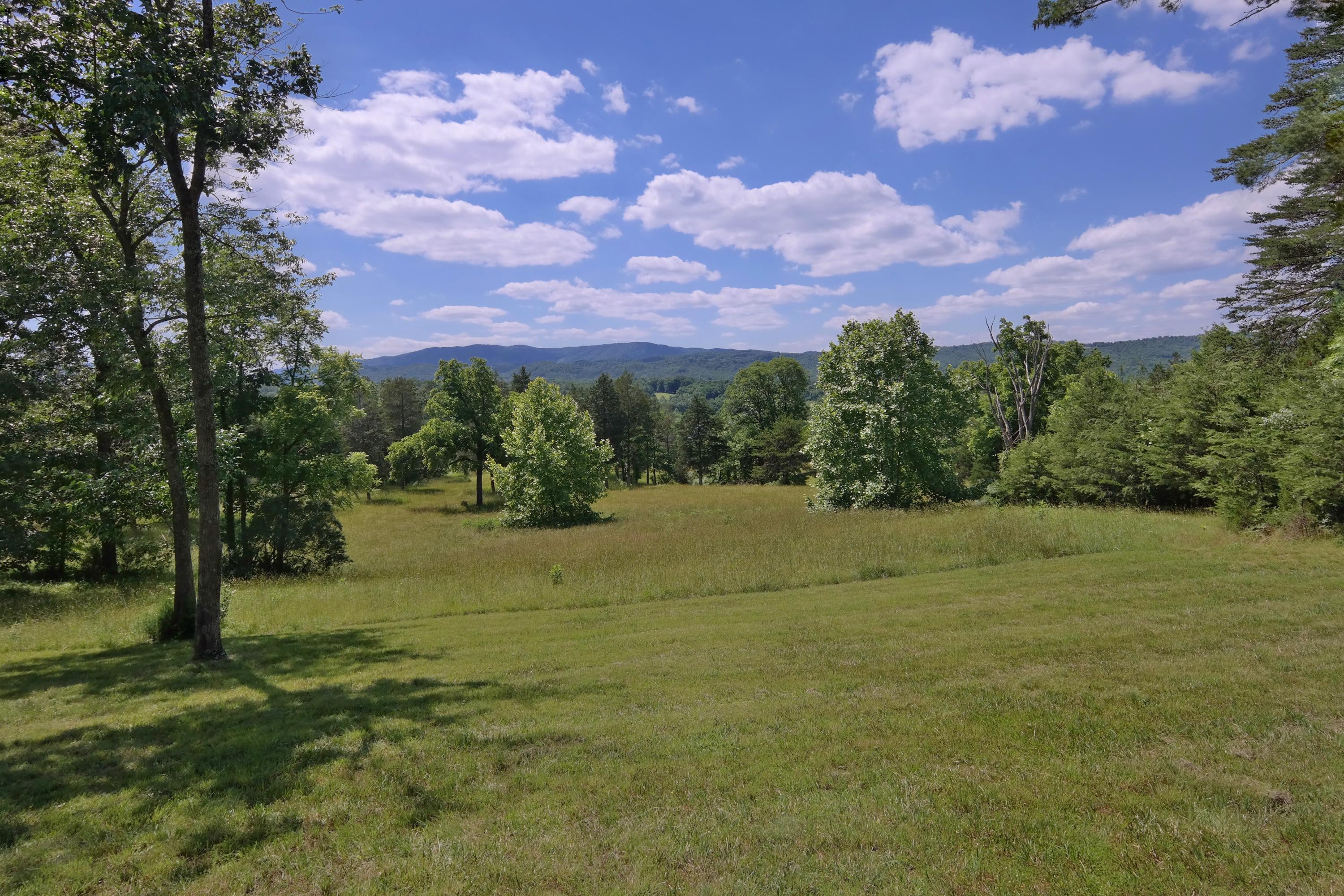 450 Kyles Mill Road Buchanan, VA 24066 - Photo 7 of 49 Land