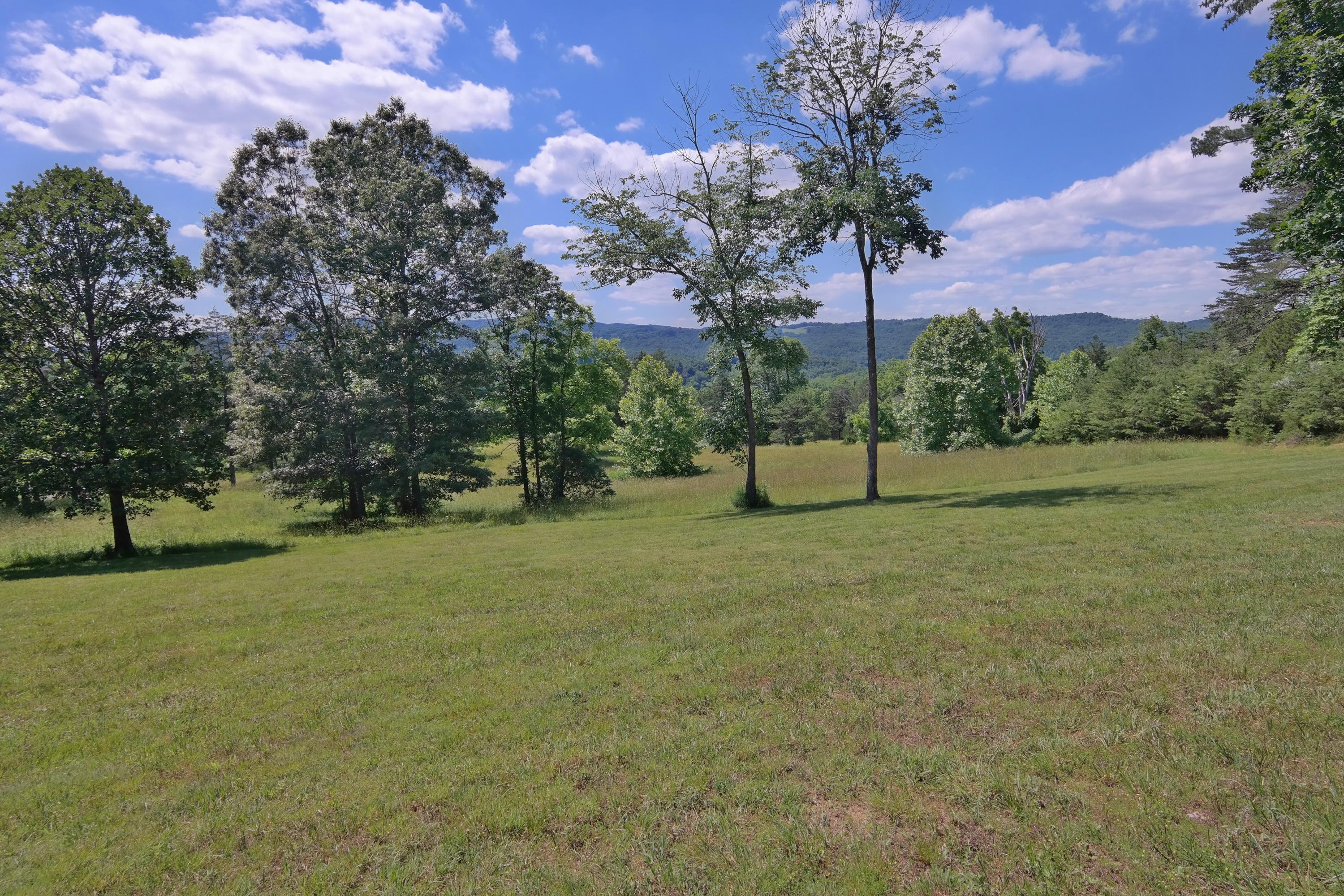 450 Kyles Mill Road Buchanan, VA 24066 - Photo 8 of 49 Land